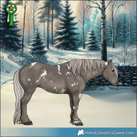 Horse Color:White Spotted Silver Black 