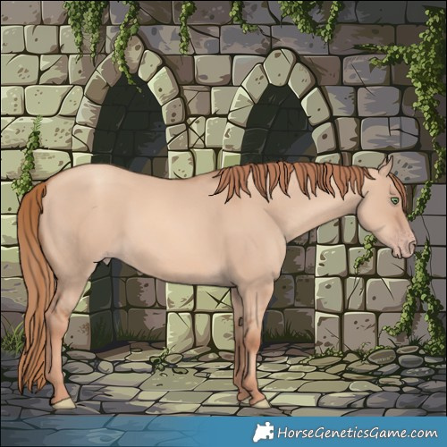 Horse Color:Gold Champagne Dun Rabicano 