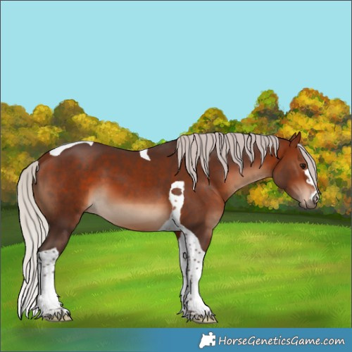 Horse Color:Silver Bay Tobiano 