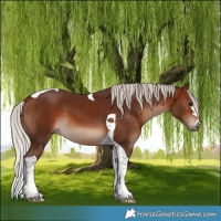 Horse Color:Silver Bay Tobiano