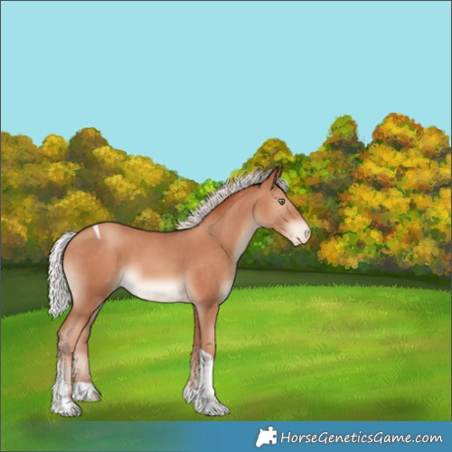 Horse Color:Silver Sable Champagne Tobiano Appaloosa 