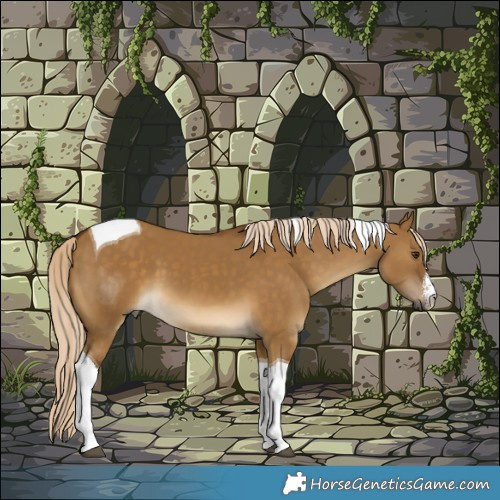 Horse Color:White Spotted Chocolate Palomino Dun Tobiano