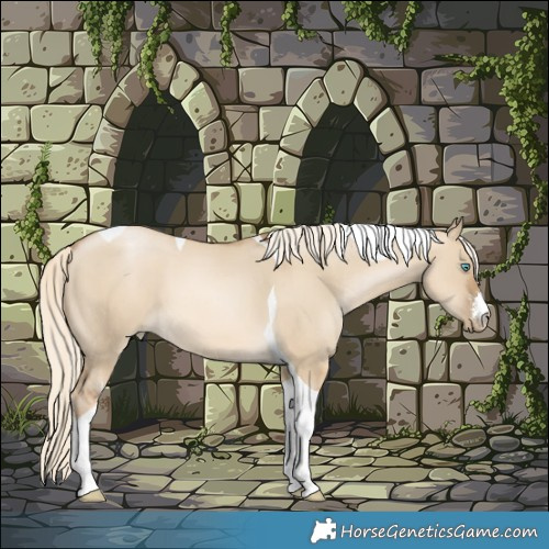 Horse Color:White Spotted Chocolate Palomino Pearl Dun Tobiano 