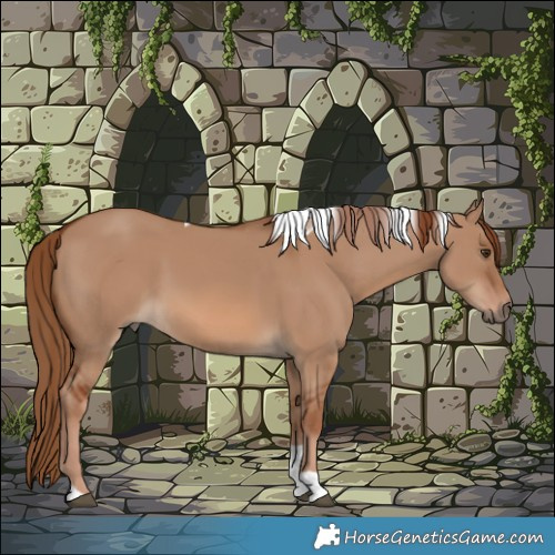 Horse Color:Red Dun Tobiano 