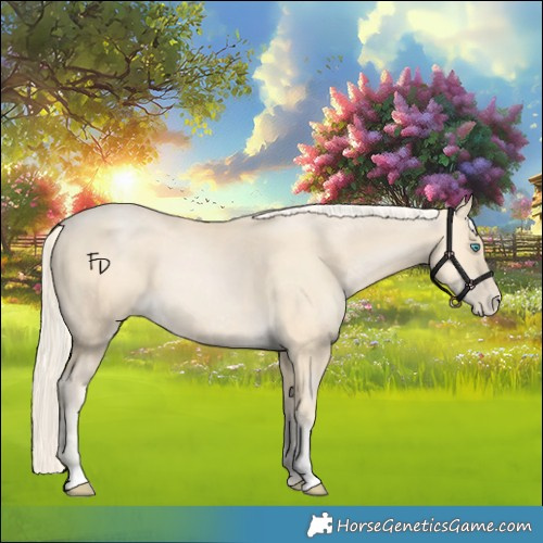 Horse Color:Palomino Pearl Sabino 