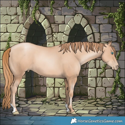 Horse Color:Gold Champagne Pearl 