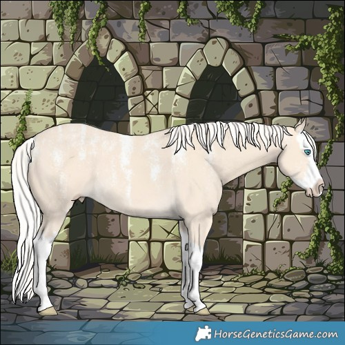 Horse Color:Powder White Cremello Splash 