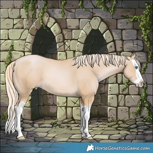 Horse Color:Palomino Pearl Splash 