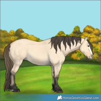 Horse Color:Unknown 