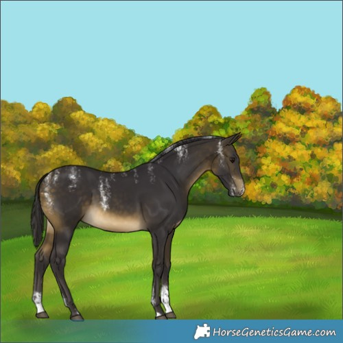 Horse Color:Powder White Buckskin