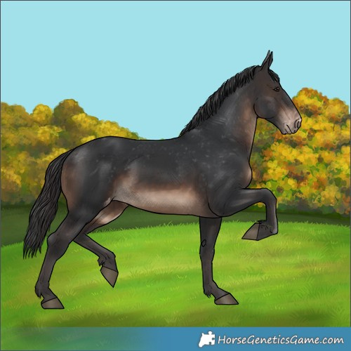 Horse Color:Brown Varnish 