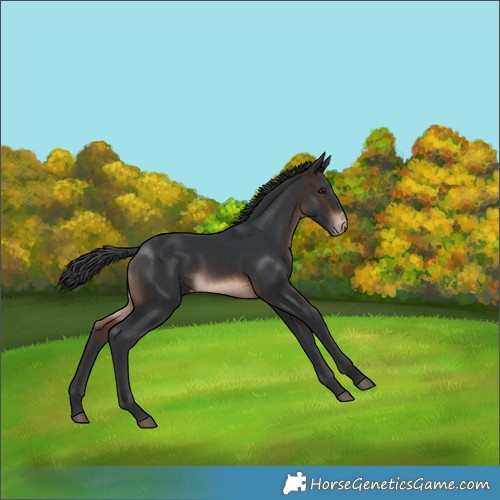 Horse Color:Brown Varnish 