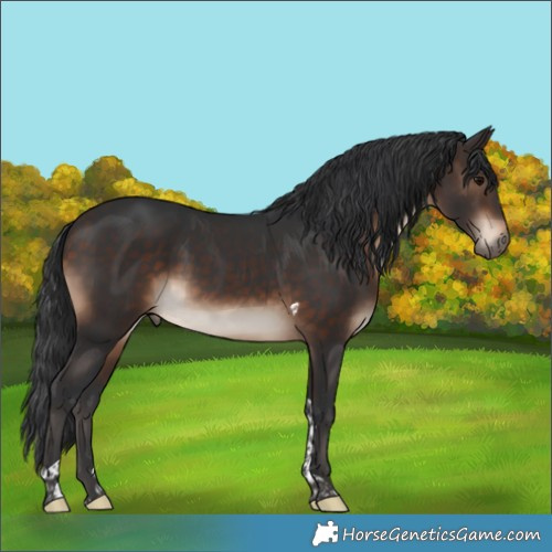 Horse Color:Brown Tobiano Rabicano 