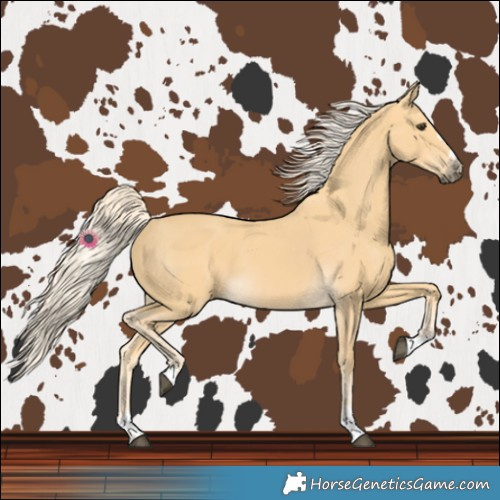 Horse Color:Palomino 