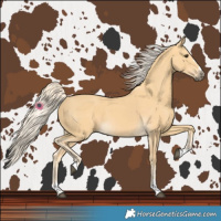 Horse Color:Palomino 