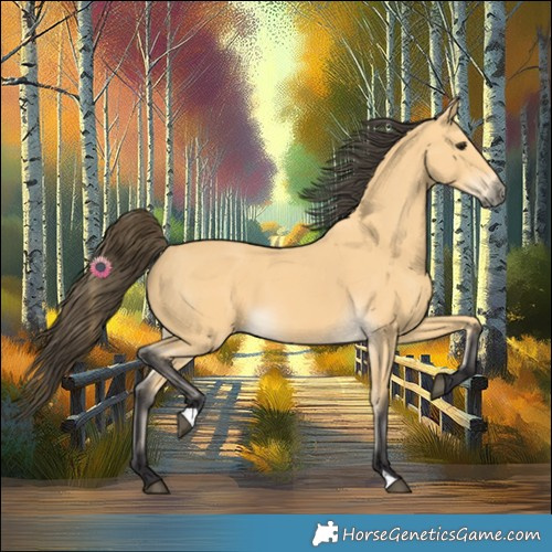 Horse Color:Buckskin