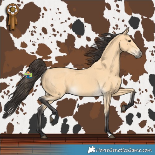 Horse Color:Buckskin 