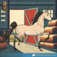 Horse Color:Buckskin 