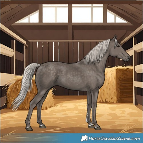 Horse Color:Silver Black 