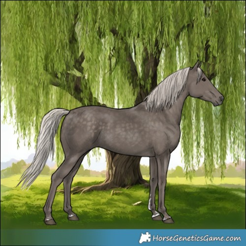Horse Color:Silver Black 