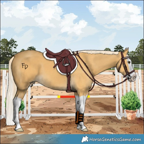 Horse Color:Palomino Splash