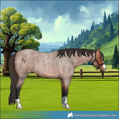 Horse Color:Bay Roan 