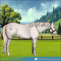 Horse Color:Perlino Roan 