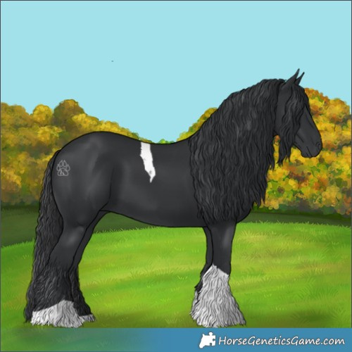 Horse Color:Black Tobiano 
