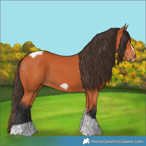 Horse Color:Bay Tobiano Frame 