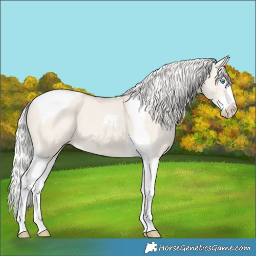 Horse Color:Silver Smoky Creme Dun Splash Tobiano 
