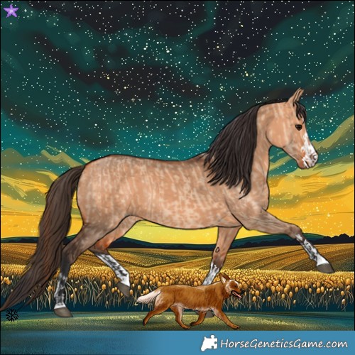 Horse Color:Bay Dun  and Bay Dun 