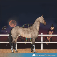 Horse Color:Brown Dun  and Brown Dun 