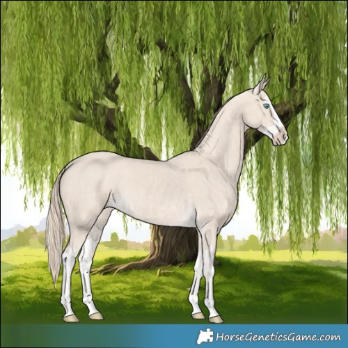 Horse Color:Cremello Splash  and Smoky Creme Splash 