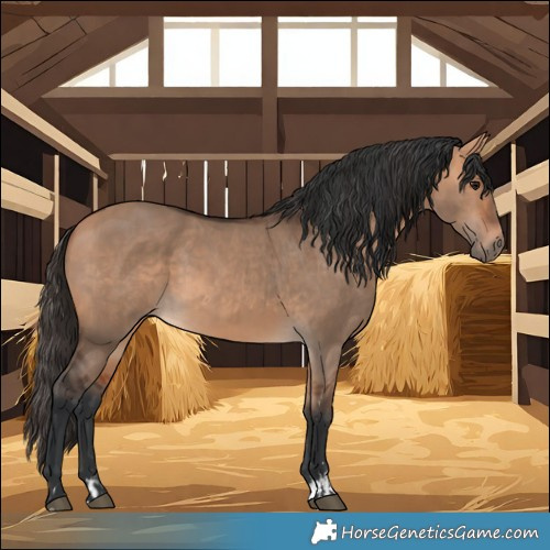 Horse Color:Bay Dun  and Bay Dun 