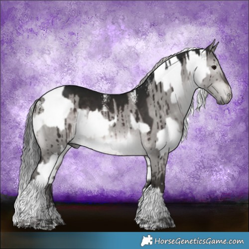 Horse Color:White Spotted Brown Dun  and Powder White Gray Platinum Silver Bay Dun Tobiano Brindle 