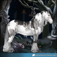 Horse Color:White Spotted Brown Dun  and Powder White Gray Platinum Silver Pseudo Buckskin Dun Tobiano Brindle 