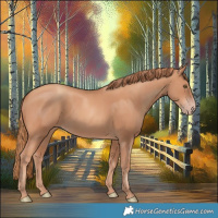 Horse Color:Gold Champagne