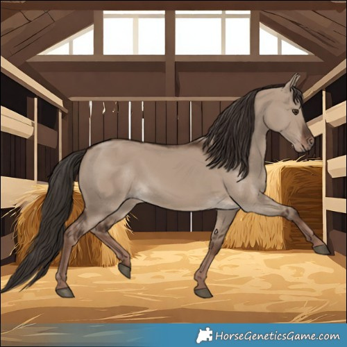 Horse Color:Liver Red Dun Rabicano 