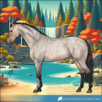 Horse Color:Bay Roan Dun and Bay Roan Dun
