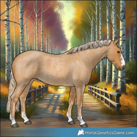 Horse Color:Palomino Roan 