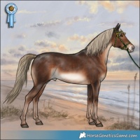 Horse Color:Liver Chestnut 