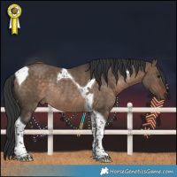 Horse Color:Brown Dun Tobiano Rabicano 