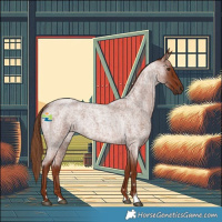 Horse Color:Red Roan