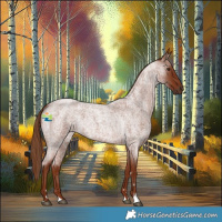 Horse Color:Red Roan 