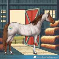 Horse Color:Red Roan Tobiano 