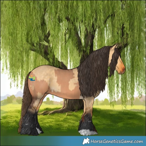 Horse Color:Bay Dun  and Buckskin Dun 