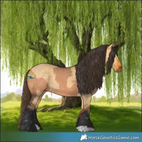 Horse Color:Bay Dun  and Buckskin Dun 