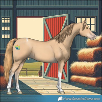 Horse Color:Gold Champagne Tobiano