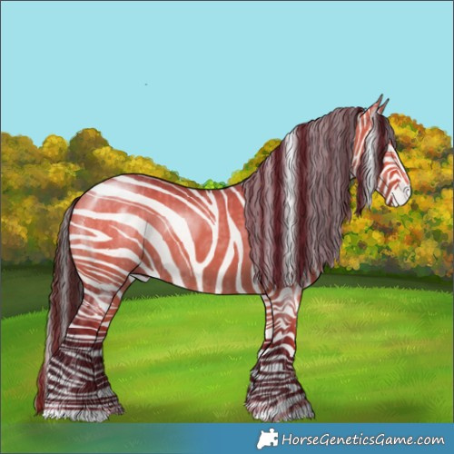 Horse Color:Bay Dun and Bay Dun