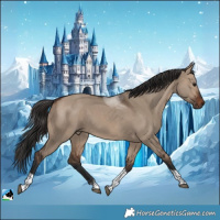 Horse Color:Brown Dun Tobiano 